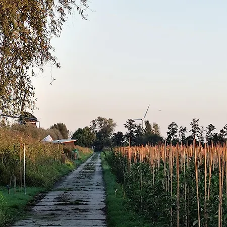 Lyxtält Voedselbos Koperwiek Hazerswoude-Dorp