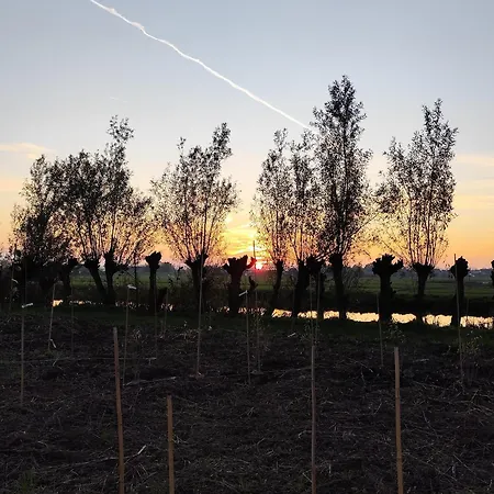 Voedselbos Koperwiek * Hazerswoude-Dorp