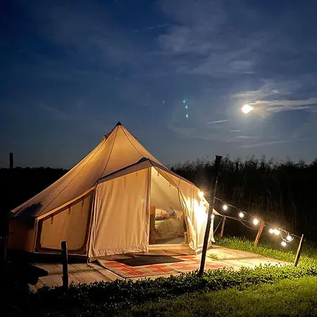 Voedselbos Koperwiek