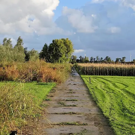 Voedselbos Koperwiek Lyxtält *