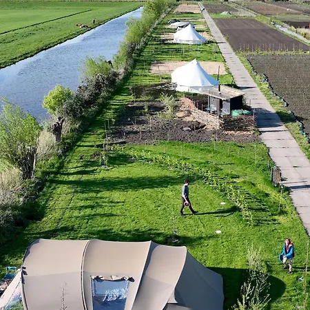 Voedselbos Koperwiek Luxury tent