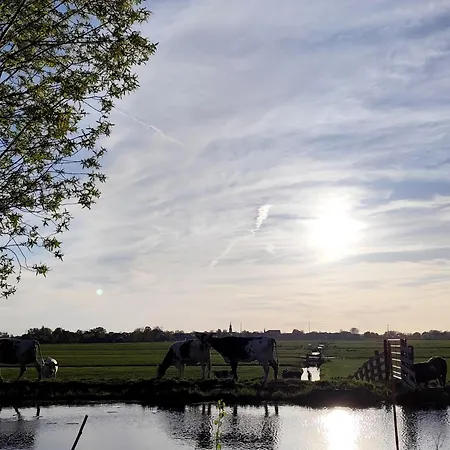 Voedselbos Koperwiek *