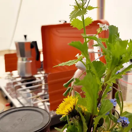 Voedselbos Koperwiek 하처우드도프