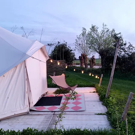 Voedselbos Koperwiek