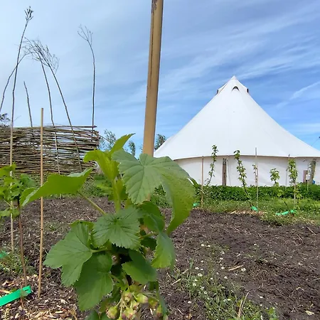 Luxury tent Voedselbos Koperwiek *