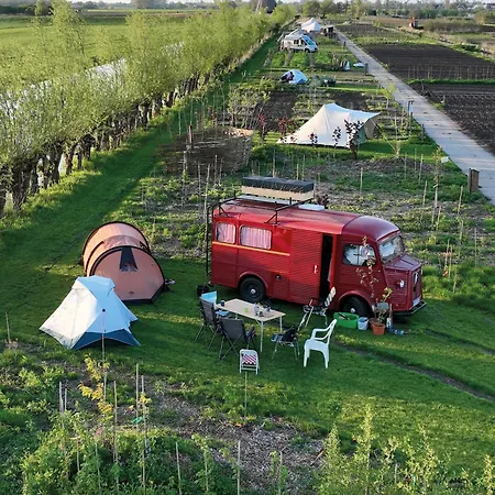 Voedselbos Koperwiek