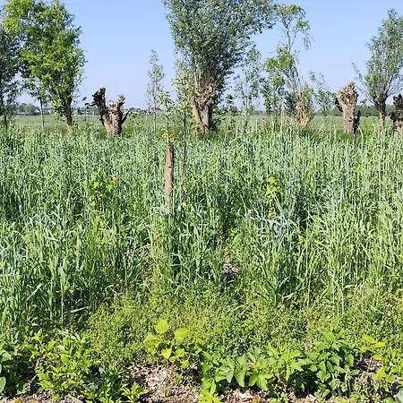 Voedselbos Koperwiek Luxussátor