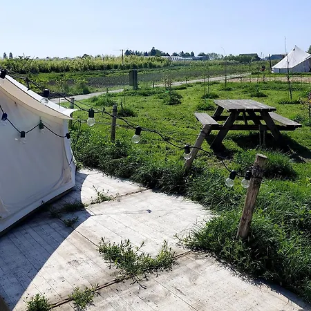 Voedselbos Koperwiek