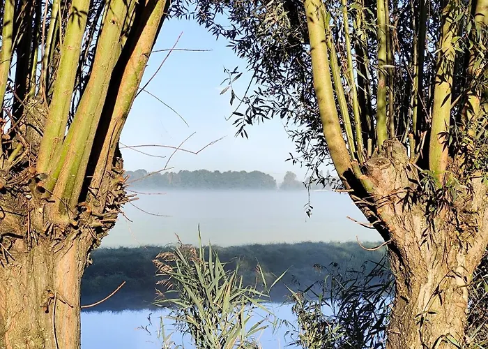 Luxuszelt Voedselbos Koperwiek *
