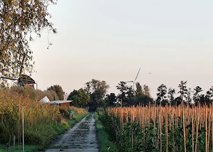 豪华帐篷 Voedselbos Koperwiek 哈泽斯沃德多普