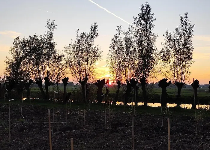 Voedselbos Koperwiek * 哈泽斯沃德多普