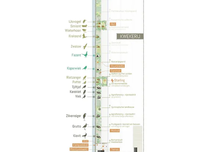 Luxury tent Voedselbos Koperwiek