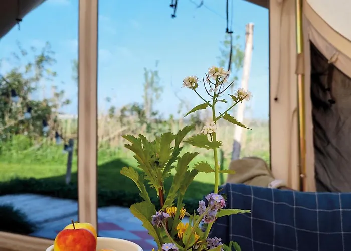 Voedselbos Koperwiek *