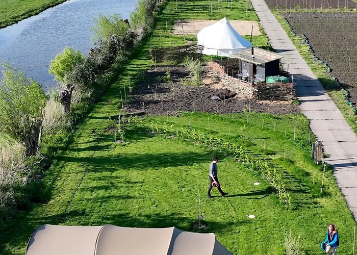 Voedselbos Koperwiek Luxury tent