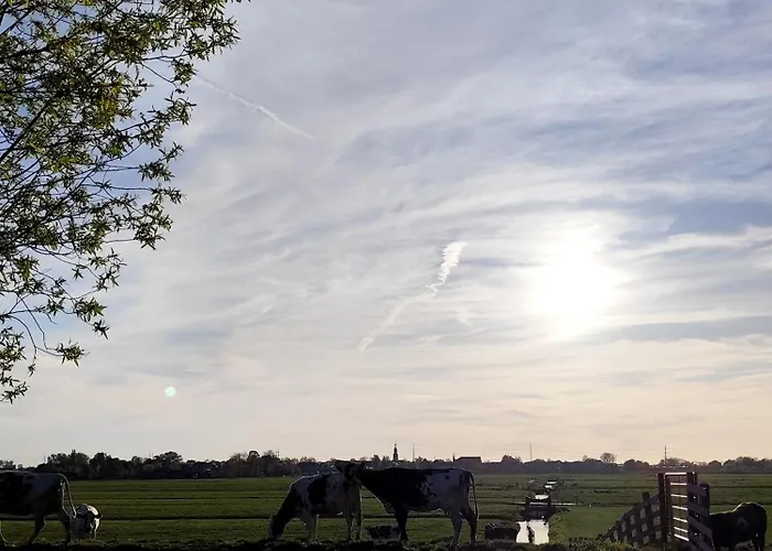 Voedselbos Koperwiek *