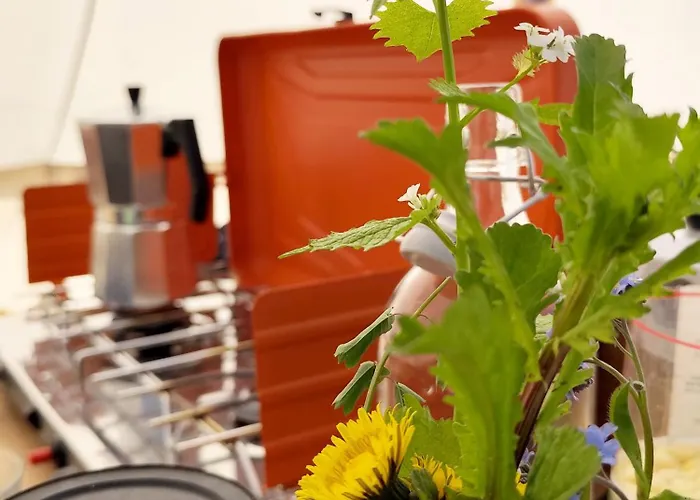 Voedselbos Koperwiek Hazerswoude-Dorp