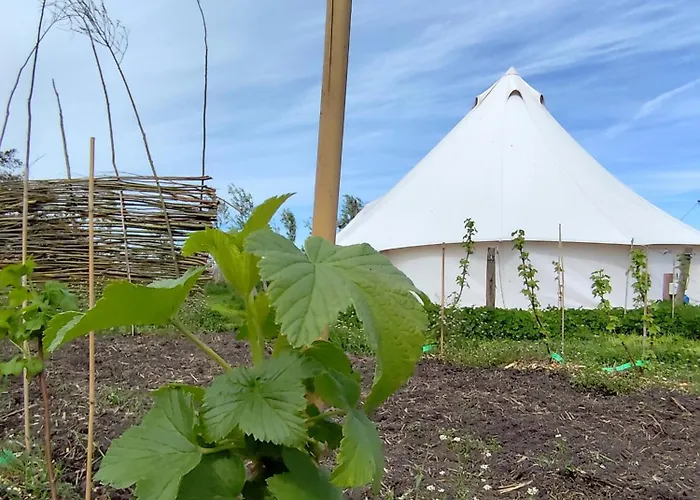 Luxury tent Voedselbos Koperwiek *