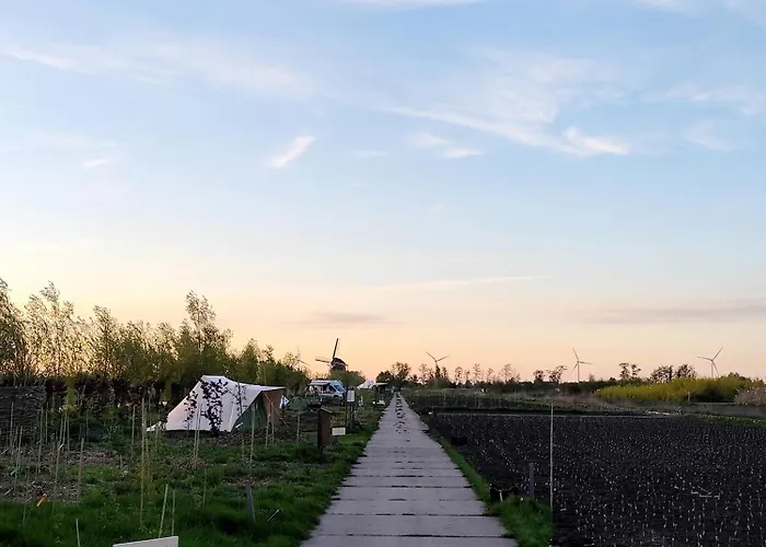 Voedselbos Koperwiek *