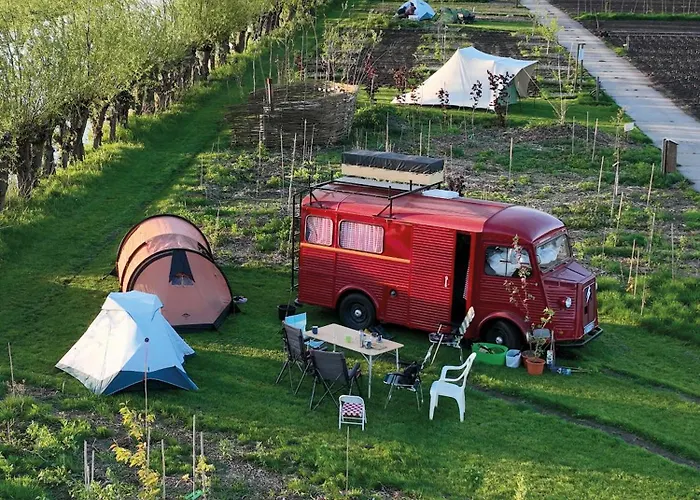Voedselbos Koperwiek