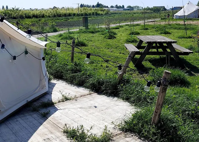 Voedselbos Koperwiek