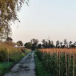 럭셔리텐트 Voedselbos Koperwiek 하처우드도프